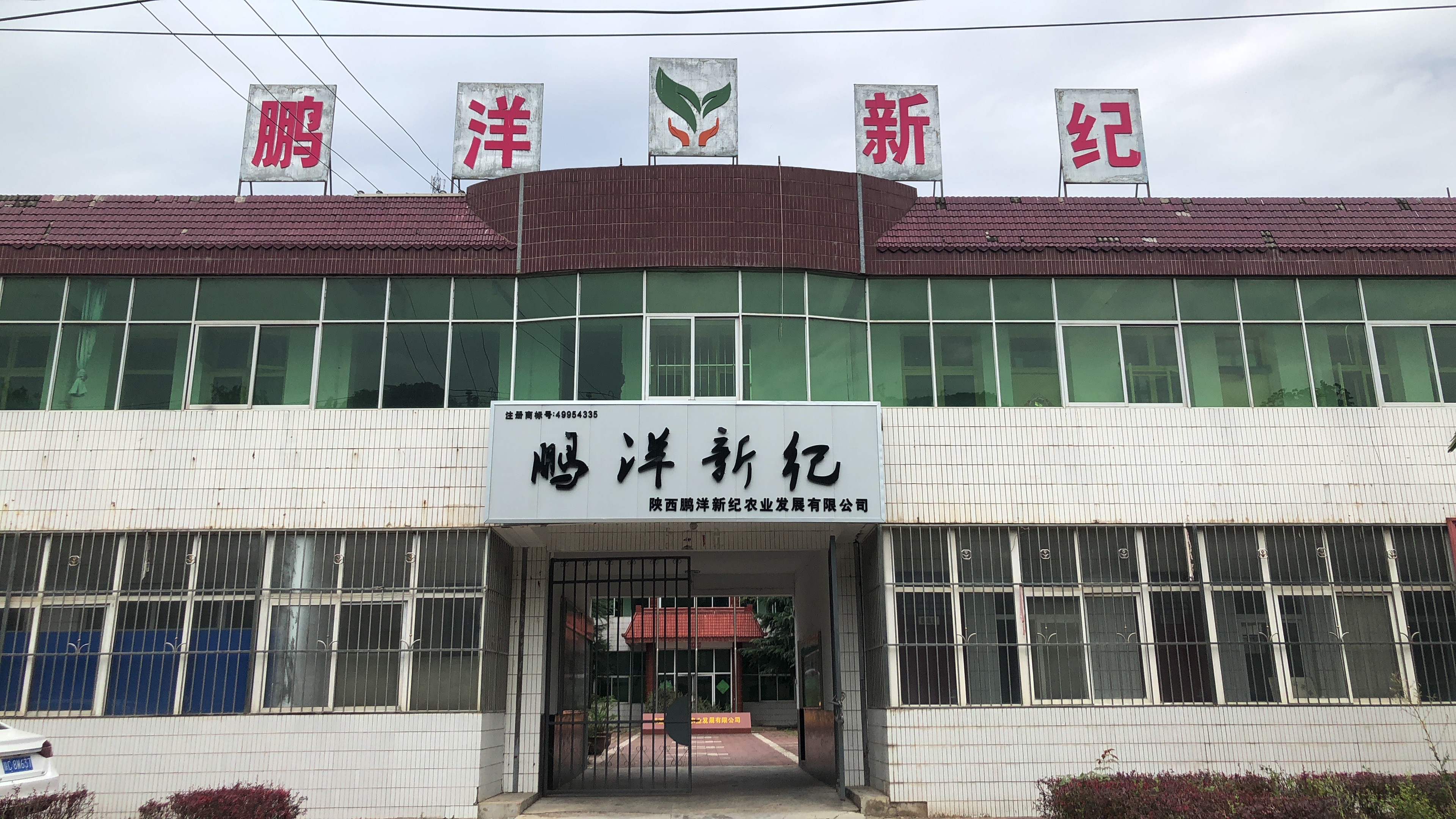 公司介绍